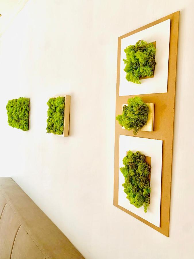 Plant House Eur Vakantiehuis Rome
